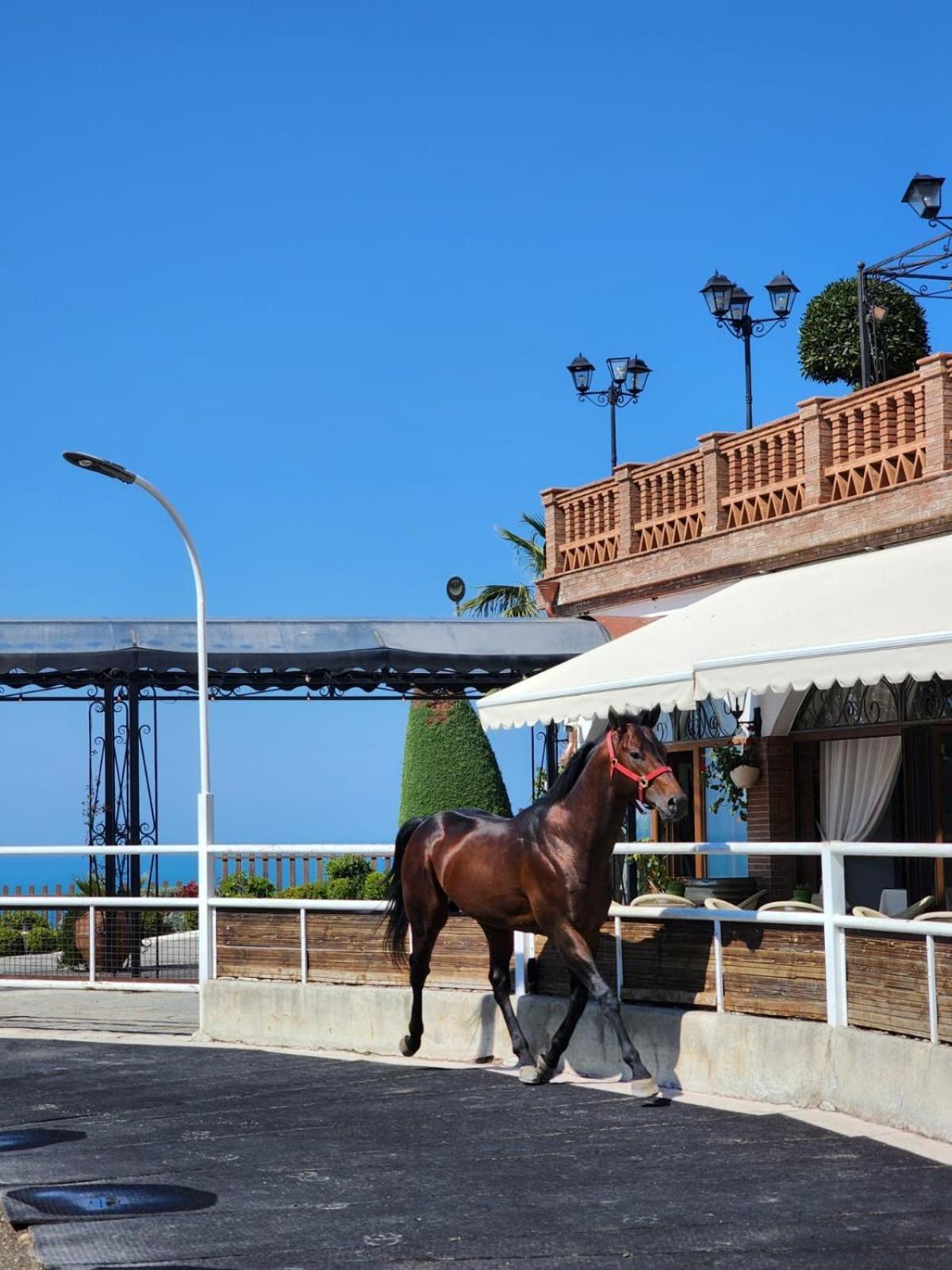 Agroturizem Kodra E Kuajve Hotel Shkallnur Luaran gambar